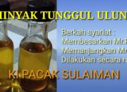Khasiat Minyak Tunggul Ulung Pembesar Alat Vital Pria Khas Olahan Ki Pacak Sulaiman