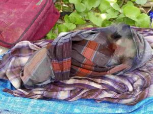 Tragis, di Temukan Mayat Bayi Perempuan di Pantai Cermin