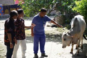 Gebyar Idul Adha 1443 H, PT INALUM Salurkan 40 Hewan Qurban Bebas PMK