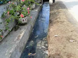 Anggota DPRD Medan Minta Kepling Laporkan Drainase Tumpat