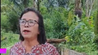 300 Hektar Persawahan di Desa Juma Teguh Terbantu Irigasi Bantuan BWS Sumatera II