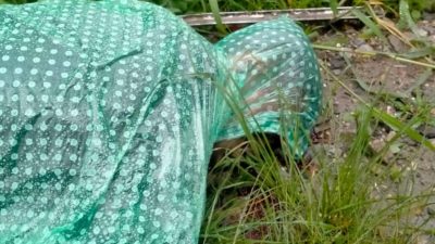 Mahasiswa Tarutung Tewas Laka Lantas