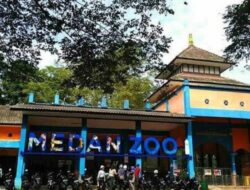 Soal Perluasan Jalan ke Medan Zoo, DPRD Medan Belum Dapat Kabar