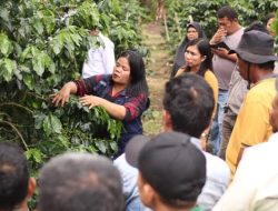 Kelompok Tani Dalan Mende Lakukan Studi Banding ke Desa Bangun