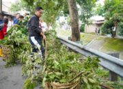 Aksi Rico Waas Pimpin Gotong Royong Sungai Sei Putih, Warga Curhat Saluran Tersumbat!