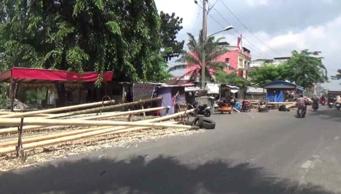 Jelang 17 Agustus, Ratusan Batang Pinang Siap Panjat tapi Belum Laku di Medan