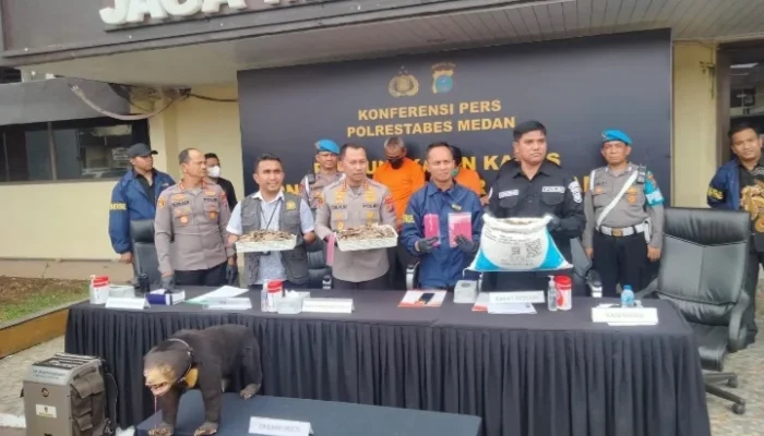 Polrestabes Medan Gerebek Perdagangan Satwa Dilindungi, Dua Pelaku Ditangkap