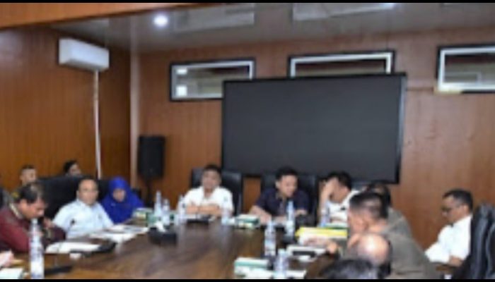 Komisi 3 DPRD Medan Desak Pemko Tindak Tegas Pelanggaran Pajak dan Izin Tempat Hiburan Malam
