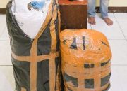 Menyamar Jadi Pembeli, Polda Sumut Gagalkan Peredaran 20 Kg Ganja Asal Aceh