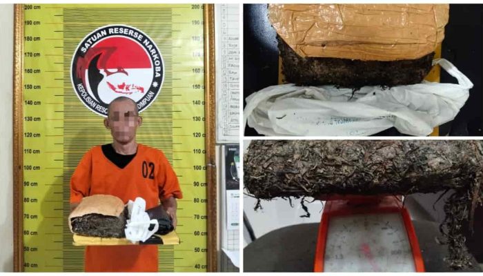 Ops Antik Toba 2026 Ungkap Kasus Ganja di Padangsidimpuan, Pria 53 Tahun Diamankan di Jalinsum