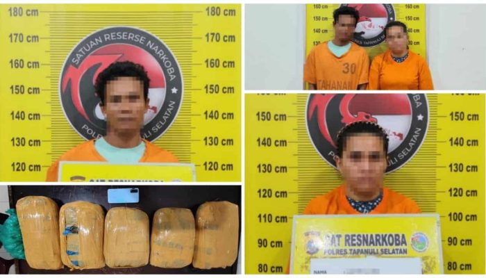 Lima Kilogram Ganja Digagalkan Beredar di Tapsel, Polisi Dalami Dugaan Keterlibatan Jaringan Lain