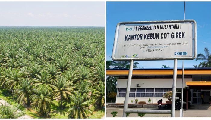 Akademisi USK Usulkan Penyelesaian Menyeluruh Konflik PTPN IV Cot Girek, Dialog dan Penegakan Hukum Harus Berjalan Seiring