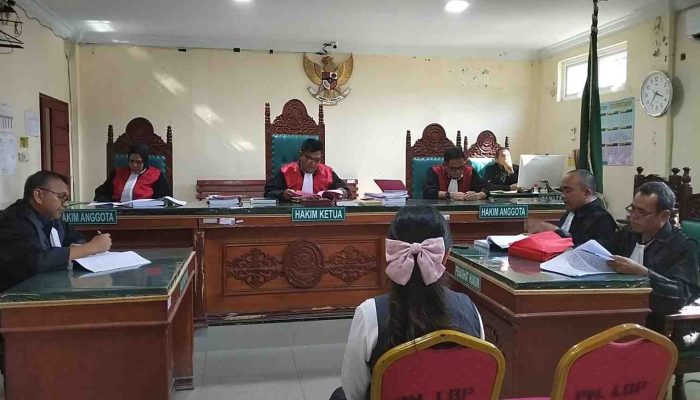 Tim Pembela Minta Hakim Terapkan Asas In Dubio Pro Reo dalam Memutus Perkara Sherly