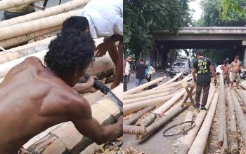 Pesanan Panjat Pinang Masih Sepi, Penjual Baru Lepas 45 Batang hingga 10 Agustus