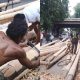 Pesanan Panjat Pinang Masih Sepi, Penjual Baru Lepas 45 Batang hingga 10 Agustus