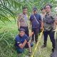 Tiorna Haloho Ditemukan Kritis di Kebun, Polisi Selidiki Dugaan Keracunan